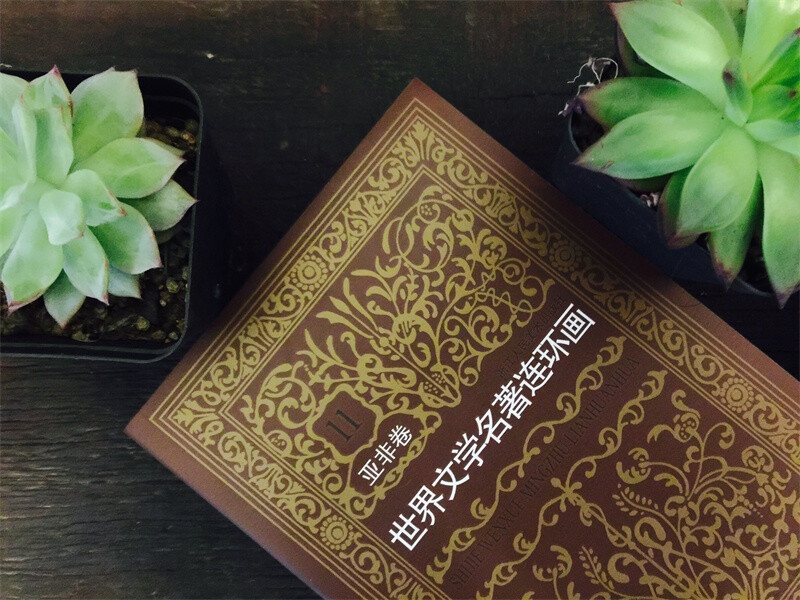 World Literature Classics Comic Book Asia and Africa Volume (set of 5 volumes in total)