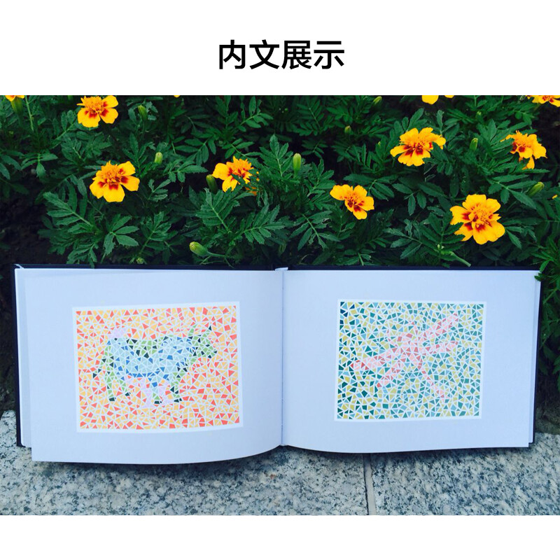 Color Blindness Examination Chart (6th Edition) Meets the Military Examination Requirements for Enrollment and Second Prize of the Chinese Medical Science and Technology Award People's Medical Publishing House