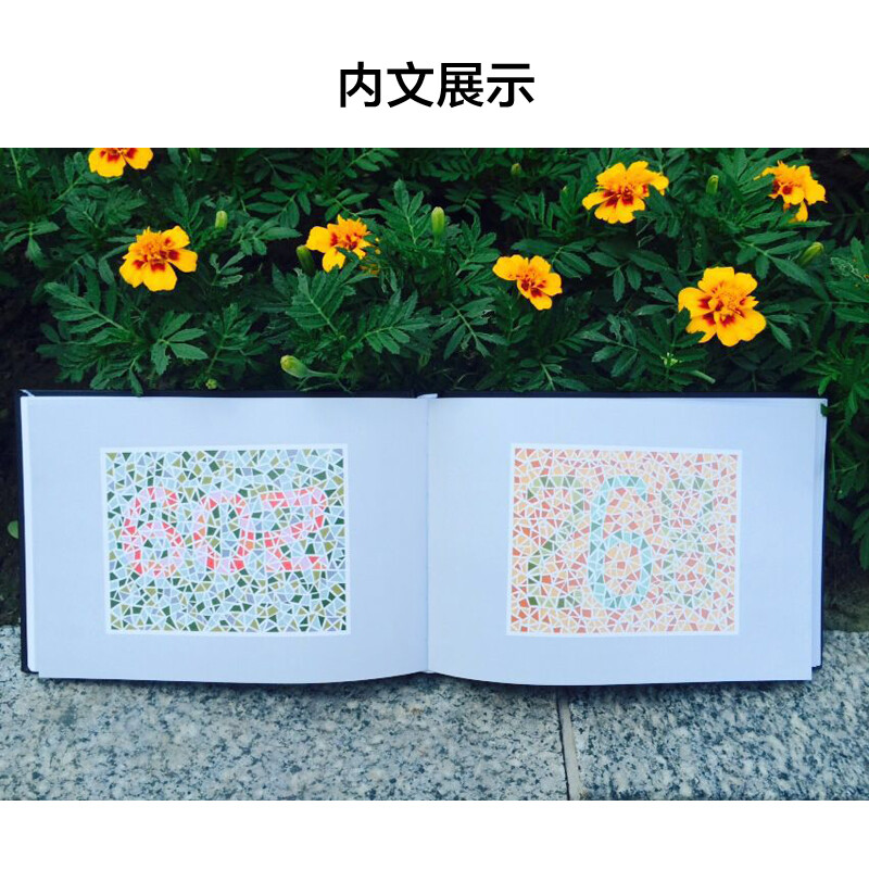 Color Blindness Examination Chart (6th Edition) Meets the Military Examination Requirements for Enrollment and Second Prize of the Chinese Medical Science and Technology Award People's Medical Publishing House
