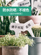 Gardening label plastic ground waterproof plug-in succulent plant T-type 1-type hanging tag flower potted small succulent label 3 colors 30 pieces
