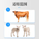 South China Qianmu (SOUTH RANCH) veterinary cattle and sheep rumen treasure four stomach power stomach bloating ruminant bloating probiotic cattle and sheep feed additives cattle and sheep rumen treasure 1kg*1 bag