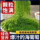 盐渍海葡萄泡发食用 儿童海藻菜海洋蔬菜海草 海葡萄100g*10袋【送芥末酱油】