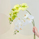 Flower e flow Phalaenopsis artificial flower fake flower table decoration light luxury high-end flower arrangement dining table floral decoration home decoration 1 branch green smoke + gourd round bottle