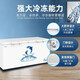 澳柯玛（AUCMA）冰柜超低温冰柜-40度商用大容量卧式冷冻柜家用小冰柜-60度深冷速冻柜海鲜冰柜 520升 约装728斤肉类 -40℃