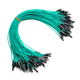 Throwing stones 1P rehearsal DuPont wire 26AWG silicone insulated wire High temperature resistant electronic wire Experimental supplies 100 wires in a bundle 20cm wire length 100 wires/item Green 30cm male to female