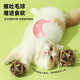 Huanpet.com catnip ball cat toy cat molar stick to amuse cat self-pleasure and relieve boredom artifact molar cat cat kitten kitten pet