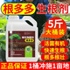 Hengkun Genduoduo rooting agent water-soluble fertilizer microbial inoculant fertilizer fertilizer strong seedling rooting solution explosive root fierce rooting stock solution strong 10 barrels * 5 Jin Jin is equal to 0.5 kilograms delivered to the town
