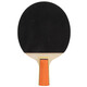 双鱼乒乓球拍直拍双拍套装 初学者兵兵球拍2只装附3球 026A 