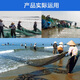 Fishing zone drag net fishing net drag net river fish pond fish scraping seine 2-finger partition clearing net 15m long 2m high 2-finger drag net weighted steel pendant new material mesh, strong and reliable
