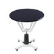 Chunzhou N-204C Pet Hydraulic Lifting Beauty Table Rotating Beauty Table Pet Round Black