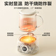 SUPOR Mini Health Cup Health Kettle Tea Maker 0.4L Office Home Portable Tea Kettle Constant Temperature Kettle Electric Kettle One Person Small Flower Tea Kettle SW-04Y23