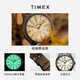 Timex Timex expedition series luminous waterproof sports quartz European and American watch men's watch birthday gift T49963
