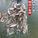 Yuxige Fish Net Sticky Fish Net Small White Strip Net Hanging Net Sinking Net Fish Sticking Three-layer Single-layer Fishing Net Sticky Fish Net Horse Mouth Wheat Net Single Layer 1 Meter High Half Finger 25 Meter Long Floating Net