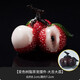 Rongshantang Color Changing Lychee Tea Pet Tea Tray Ornaments for Household Fun Kung Fu Tea Accessories Color Changing Resin Tea Pet Ornaments - Daji Dali