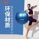 LIVEUP SPORTS mini yoga ball Pilates ball thickened explosion-proof balance hip fitness training Swiss ball children's racket ball yoga ball 75cm-grey