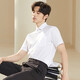 Talented men's shirt cotton breathable 25 spring and summer business white shirt short-sleeved professional top multi-color formal solid color