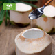Fresh, selected large fruits, Hainan green coconut, fresh coconuts are picked and shipped to pregnant women to replenish amniotic fluid, healthy fresh coconut water, selected 9 packs (with tools)