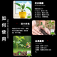 Zhongxiquan Breathable Rooting Powder Vegetables and Flowers Field Fruit Trees and Fruits Transplanting Seedlings Rapid Rooting Agent Powerful Rooting Liquid 500g*3 Bags
