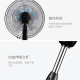 TCL electric fan/floor fan/household bass fan/five-blade large air volume fan timing remote control TFS16RD/one-year warranty