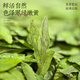 Fumingyuan té verde té Longjing sabor a frijol Mingqian 2025 nuevo té enlatado 60g té tierno de primavera para usted