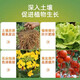 Yuntianhua Phosphate Fertilizer Granules Superphosphate General Flowering Fertilizer Household Fruit Tree Vegetable Green Plant Compound Fertilizer 100 Jin Jin equals 0.5 kg Phosphate fertilizer (high concentration) 20 Jin Jin equals 0.5 kg