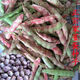 Northeastern Sparrow Egg Bean Seed Red Gold Hook Gold Hook Northeast Oil Bean Seed Flour Bean Bean Vegetable Seed Two Packs About 130 + Song Fertilizer