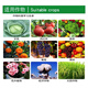 Batian Blue Compound Fertilizer Flower Fertilizer Vegetable Fertilizer Fruit Tree Fertilizer Flower Vegetable Seedling Fertilizer High Nitrogen General Nutrition Batian Blue 5Jin Jin equals 0.5 kg