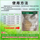 Hulian 32.5% azoxystrobin difenoconazole azoxystrobin rice sheath blight anthrax black spot fungicide 10g