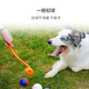 GiGwi dog toy cue ball thrower outdoor circuit training cue pickup pet dog toy device pet toy medium tennis ball * 3 pieces + cue throw outdoor