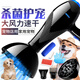 Mila Meow Pet Hair Dryer Large and Small Power Cats Teddy Golden Retriever Dogs Large and Small Dogs Special Pet Shop Water Dryer Flagship Version High Power Blu-ray Suitable for Medium and Large