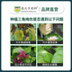 Devodoro bougainvillea type slow-release compound fertilizer 500g gardening potted plant flower fertilizer foliage fertilizer organic nitrogen, phosphorus and potassium fertilizer