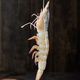 Centennial Fishing Port Sea-caught Extra Large Salt-frozen Separated White Shrimp 30-40Specifications Net shrimp weight 4Jin Jin is equal to 0.5kg 60-80 pieces
