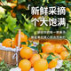 Jinan fresh, Gannan navel oranges, freshly picked Jiangxi oranges, seasonal fresh fruit gift box for pregnant women, color box 10 Jin Jin equals 0.5 kg, single fruit 220-330g, net weight 9 Jin Jin equals 0.5 kg, super fruit