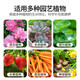 Basemanwei urea nitrogen fertilizer flower vegetable fruit tree potted cauliflower household potted general fertilizer chemical fertilizer compound fertilizer compound fertilizer 3Jin Jin is equal to 0.5 kg