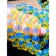 Bhiodha Bernsteinblau Bernstein Armband Einschleife 3A Wasserreinigung Hochblau runde Perlenbienen Bienenwachs Hand 520 Valentinstag Geburtstagsgeschenk 15+mm Wasserreinigung High Blue Pellets sind inbegriffen 1428 Gramm