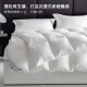 Antarctic 100% down quilt spring and autumn white goose down quilt core double quilt white 200*230cm6Jin [Jin equals 0.5 kg]