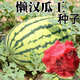 Super sweet seedless watermelon seeds, black skin, stable production, thin skin, red heart, extra large watermelon seeds, vegetable and fruit seeds for all seasons, black skin, seedless watermelon seeds, original, about 42 pieces