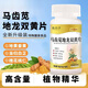 Changjiping Dandelion Angelica Double Purslane Dilong Protein Double Turmeric Dandelion Peach Kernel Double Yellow Angelica 3 bottles cycle recommended by the anchor