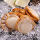Chilled Ezo scallop meat 200g