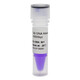 BIOSHARP LIFE SCIENCES White Shark 1kb DNA Marker BL108A (50T/branch)