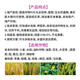 Jingbo Jin Potassium Plant Source Potassium Dihydrogen Phosphate Rapid Phosphorus and Potassium Supplement Plant Nutrient Fertilizer Stable and Increased Yield and Resist Lodging 20KG/bag