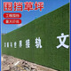 Engineering fence lawn cloth artificial simulated fake turf paving green mesh plastic carpet outdoor decoration green wall 2.0 mesh extra dense adhesive three-color grass 2 meters x 25 meters