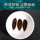 [Vendu directement dans la pharmacie] Unionhe Jingpin Qingqianliu TEA non-wild Tend Sprout Leaf Thé Pression de précipitation faible en graisses à faible teneur en graisses Hypertension artérielle peut être utilisée pour le rasage de maïs en bardle
