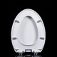 Universal toilet seat adapted to TOTOCSW886 719 341 728 729 743 764 765 782RB G healthy PP material