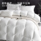 Antarctic 100% down quilt spring and autumn white goose down quilt core double quilt white 200*230cm6Jin [Jin equals 0.5 kg]