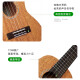 Tom T5 ukelele chapa principiante t5s guitarra pequeña estudiantes adultos adultos machos y mujeres uklili T5 de 21 pulgadas (vone + cuerda de carbono)