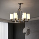 
Su Yin New Chinese style living room chandeliers, full copper lamps, living room lamps, dining room master bedroom lamps, study lamps, chandeliers, 9901, full copper double layer 10+5 heads