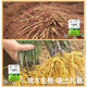 Zhongxiquan Breathable Rooting Powder Vegetables and Flowers Field Fruit Trees and Fruits Transplanting Seedlings Rapid Rooting Agent Powerful Rooting Liquid 500g*3 Bags