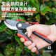 得力（deli）省力果树剪刀修枝剪枝剪园艺剪刀粗枝花卉园林工具修剪树枝剪刀 8英寸修枝剪 DL580221