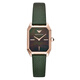 
Emporio Armani watch women's European and American watch small green watch retro belt fritillaria quartz watch Valentine's Day birthday gift for girlfriend Small green watch AR11149